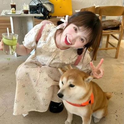狮子彻夜未眠